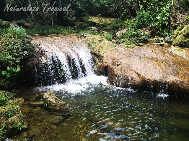 Río tropical presente en Soroa, Artemisa, Cuba